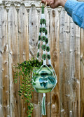 Daisy Plant Hanger