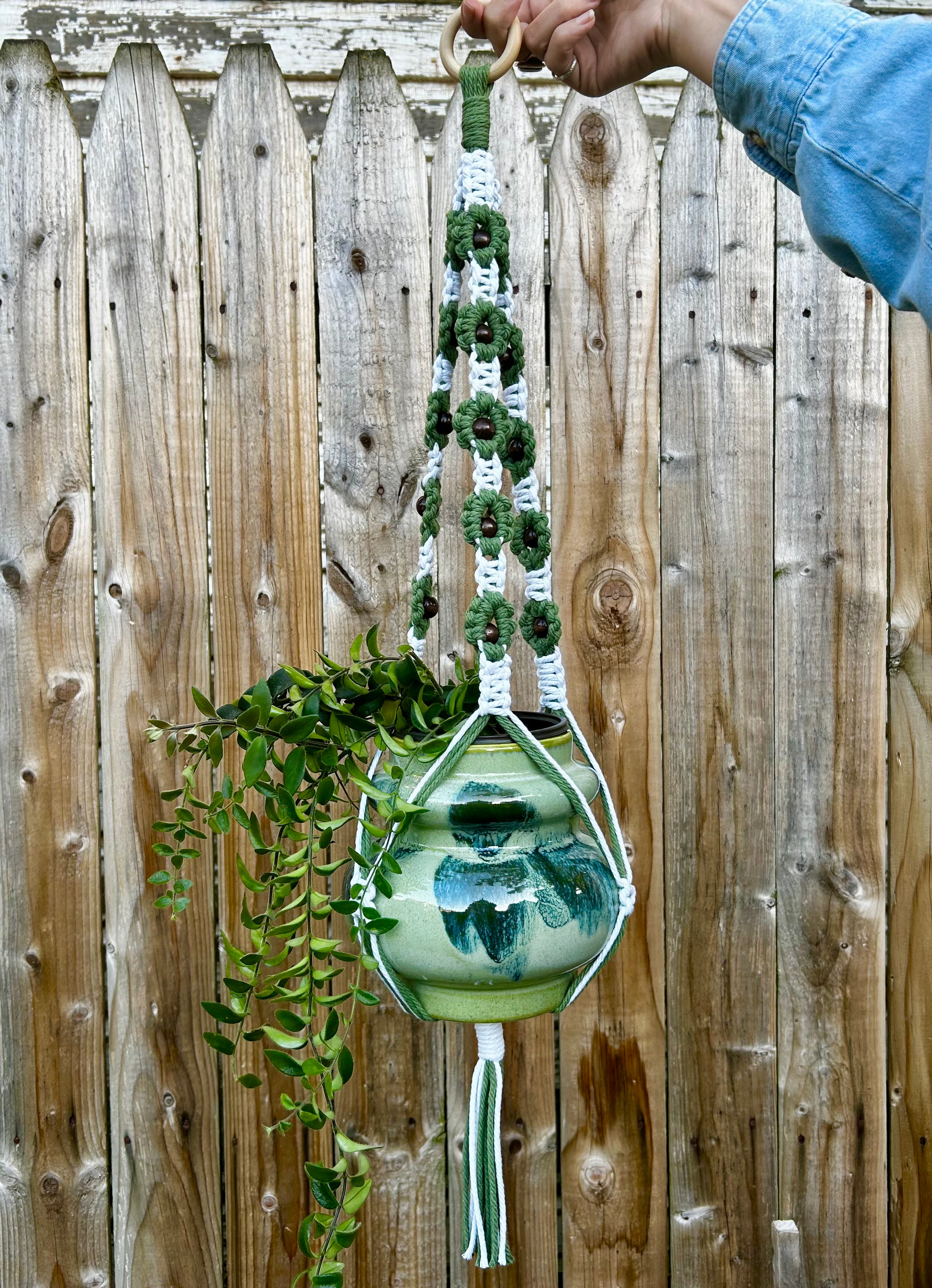 Daisy Plant Hanger