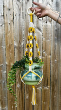 Plant Hanger