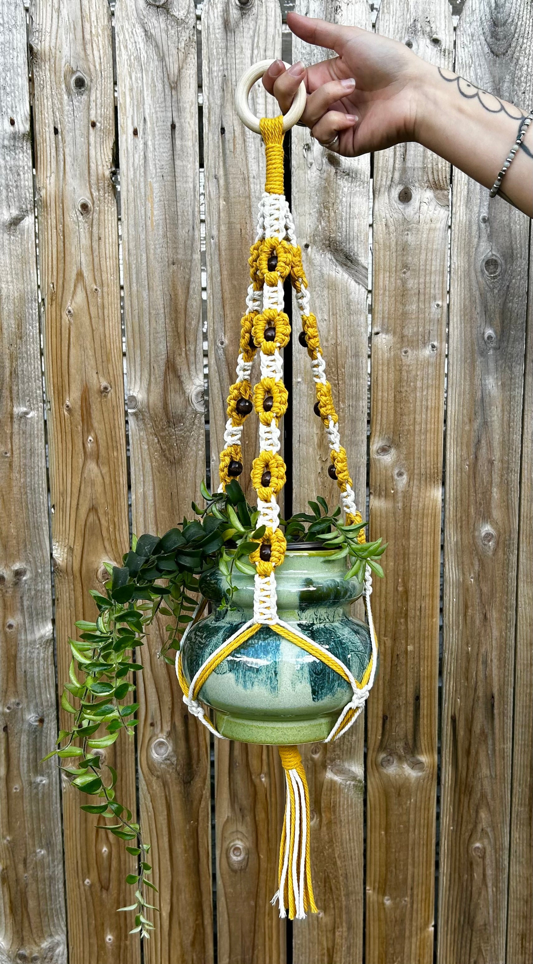 Plant Hanger