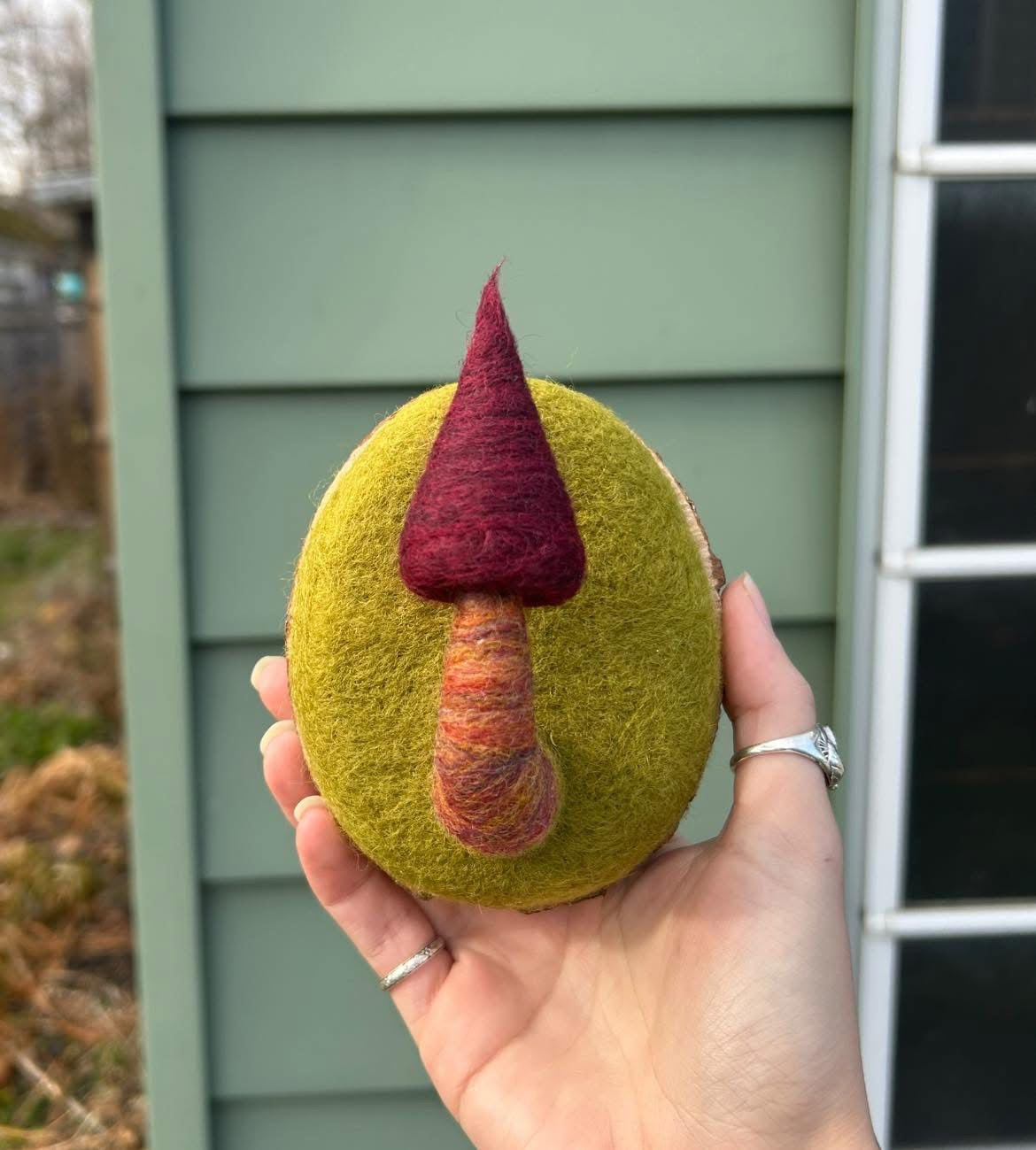 Needle felted Mushroom wall hanging